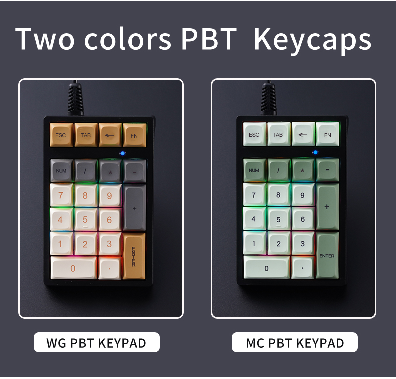 T21 APAYADO 有線テンキー ブルースイッチ PBT - Keyboard Numpad Separate のレビューと価格