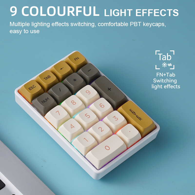 FREEWOLF K21 ワイヤレスメカニカルテンキー 21 - Keyboard Numpad Separate のレビューと価格